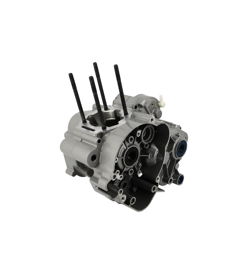 CARTER MOTEUR MECABOITE OEM DERBI SENDA/SMT/RCR/SX50/RX50 EURO3/EURO4 (CM1503065)