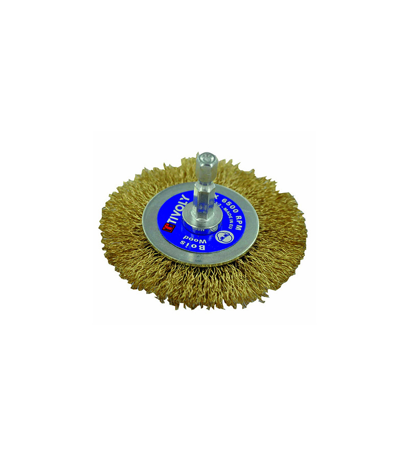 BROSSE CIRCULAIRE TIVOLY FIL ACIER LAITONNÉ DIA.70