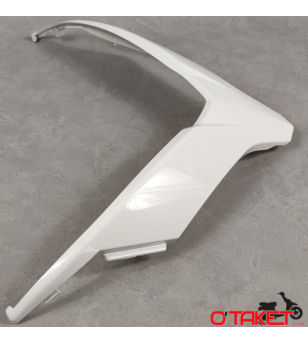 Carénage de face avant origine PEUGEOT Citystar 50/125/200cc 2T/4T