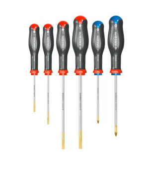 JEU DE 6 TOURNEVIS PROTWIST FACOM