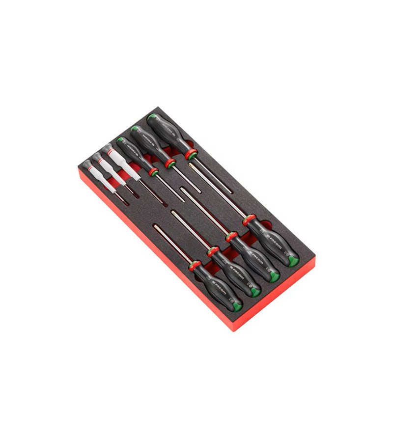 MODULE MOUSSE TOURNEVIS PROTWIST TORX FACOM
