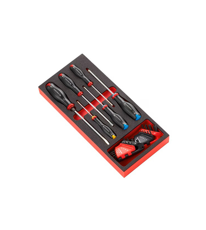 MODULE MOUSSE TOURNEVIS PROTWIST/ CLÉS MÂLES/TORX FACOM