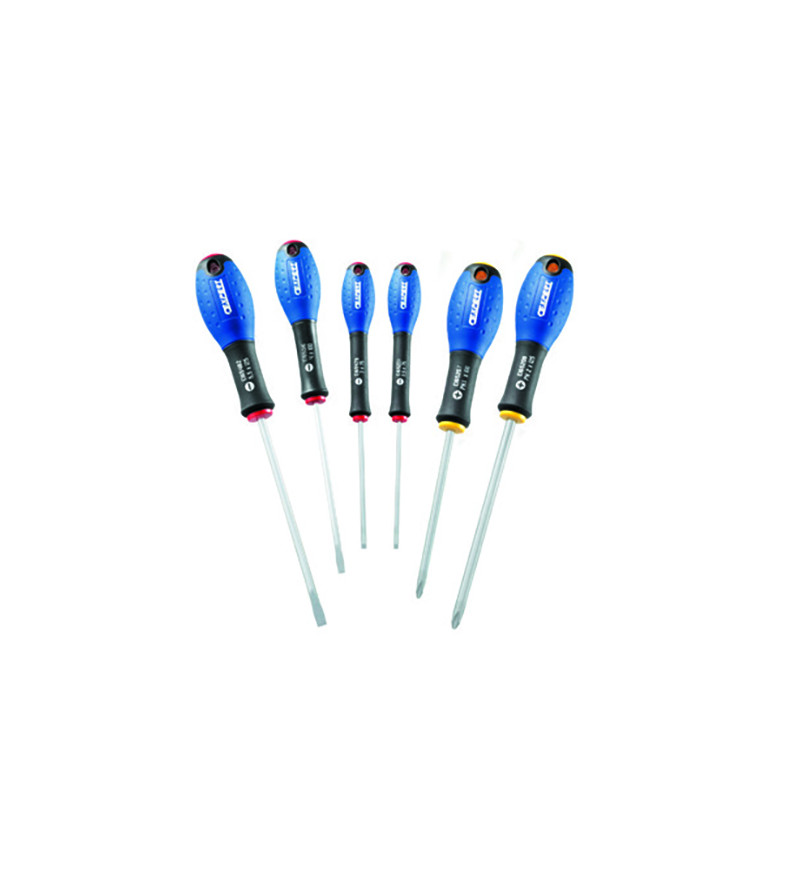 JEU DE 6 TOURNEVIS - FENTE / PH - EXPERT - E160902