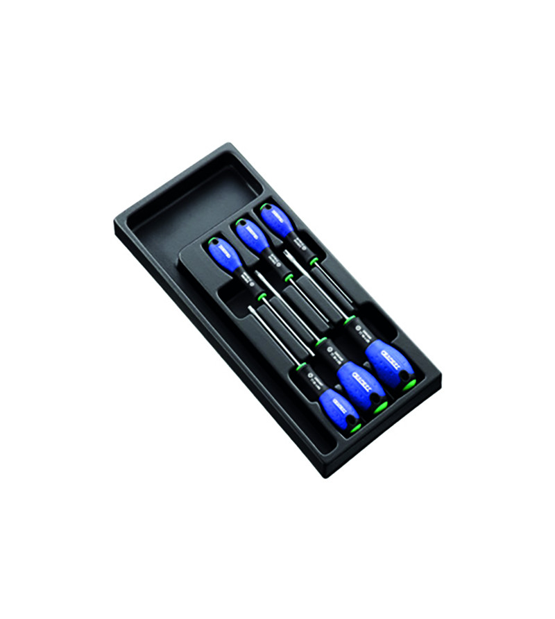 MODULE 6 TOURNEVIS TORX - EXPERT -E194941