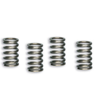 RESSORT EMBRAYAGE MOTO MALOSSI RENF. ADAPT.PIT BIKE/MINI GP (JEU DE 4)